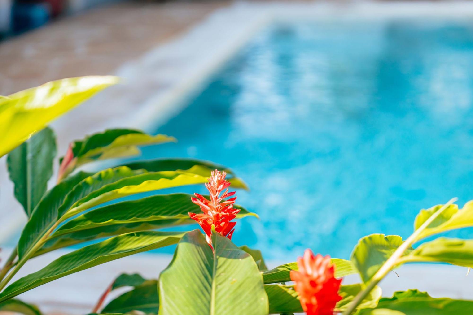 Hekaya Zanzibar Hotel Pingwe Kültér fotó